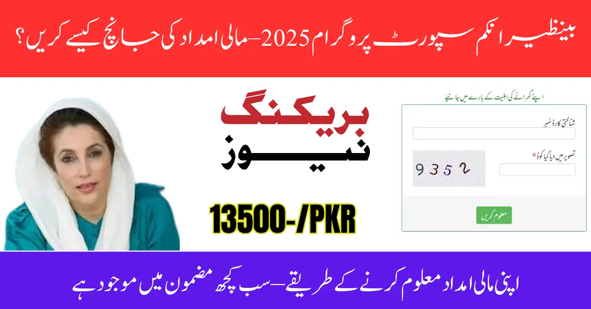 8171 Check Online 2025 – How to Check Your Ehsaas Program Status Online
