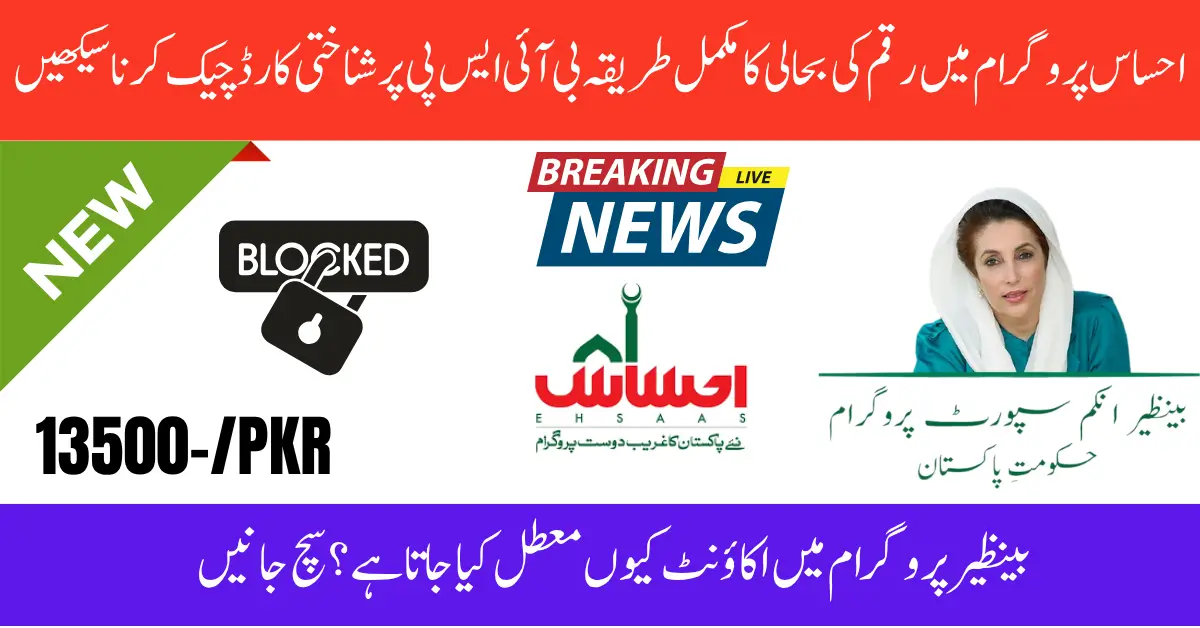 Ehsaas Program CNIC Check Online 8171 – Complete Guide to Fix Inactive Payments