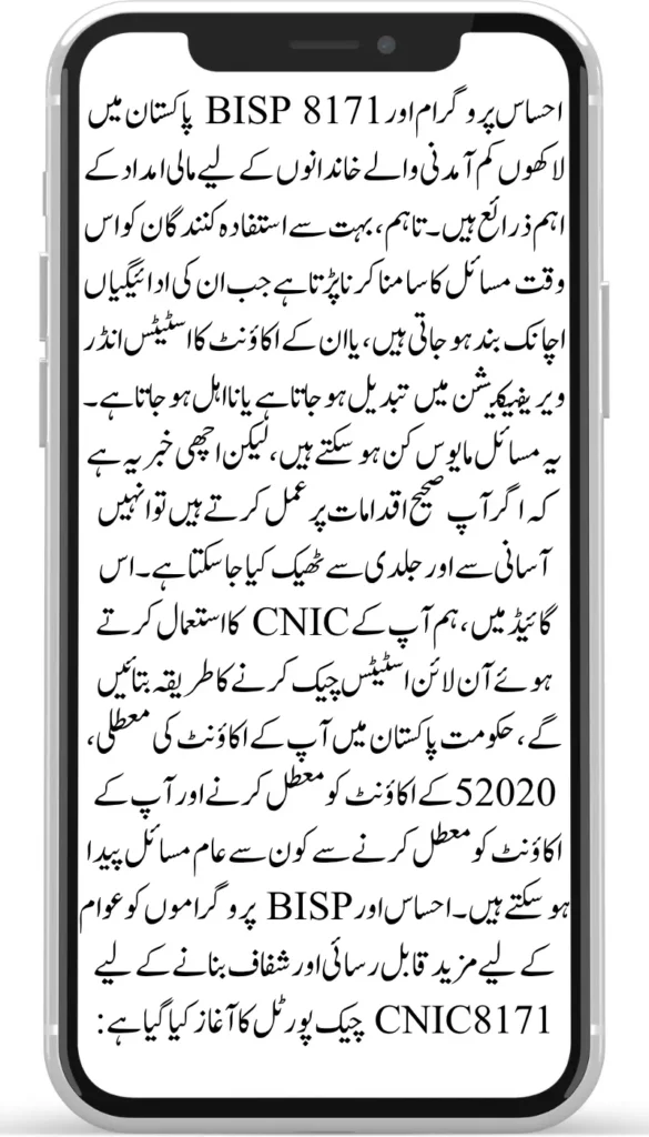 Ehsaas Program CNIC Check Online 8171 – Complete Guide to Fix Inactive Payments