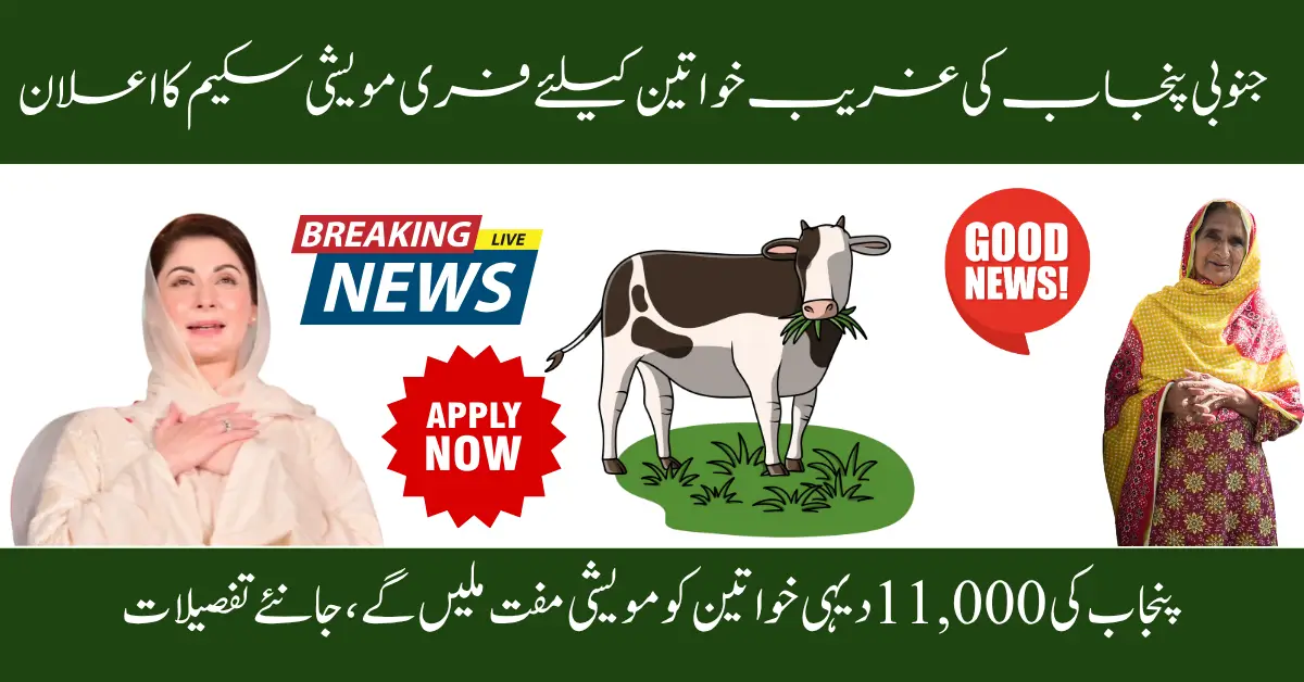 Free Livestock Scheme Launched for Poor Rural Widows in South Punjab