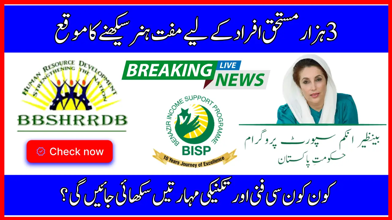 BISP and BB-SHRRDB Skills Development 2025 – How 3,000 Beneficiaries Benefit