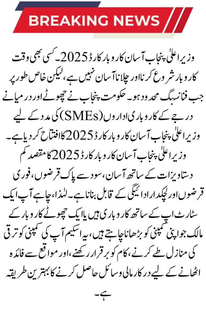 CM Punjab Asaan Karobar Card 2025 – Simple Guide for Small Business Owners