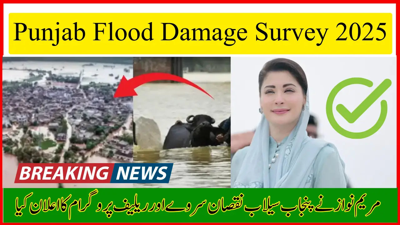 Punjab Flood Damage Survey 2025: CM Maryam Nawaz Announces Relief Plan