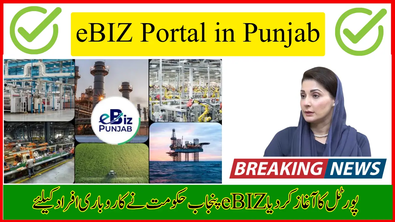 eBIZ Portal in Punjab - Digital NOC System for 30 Businesses