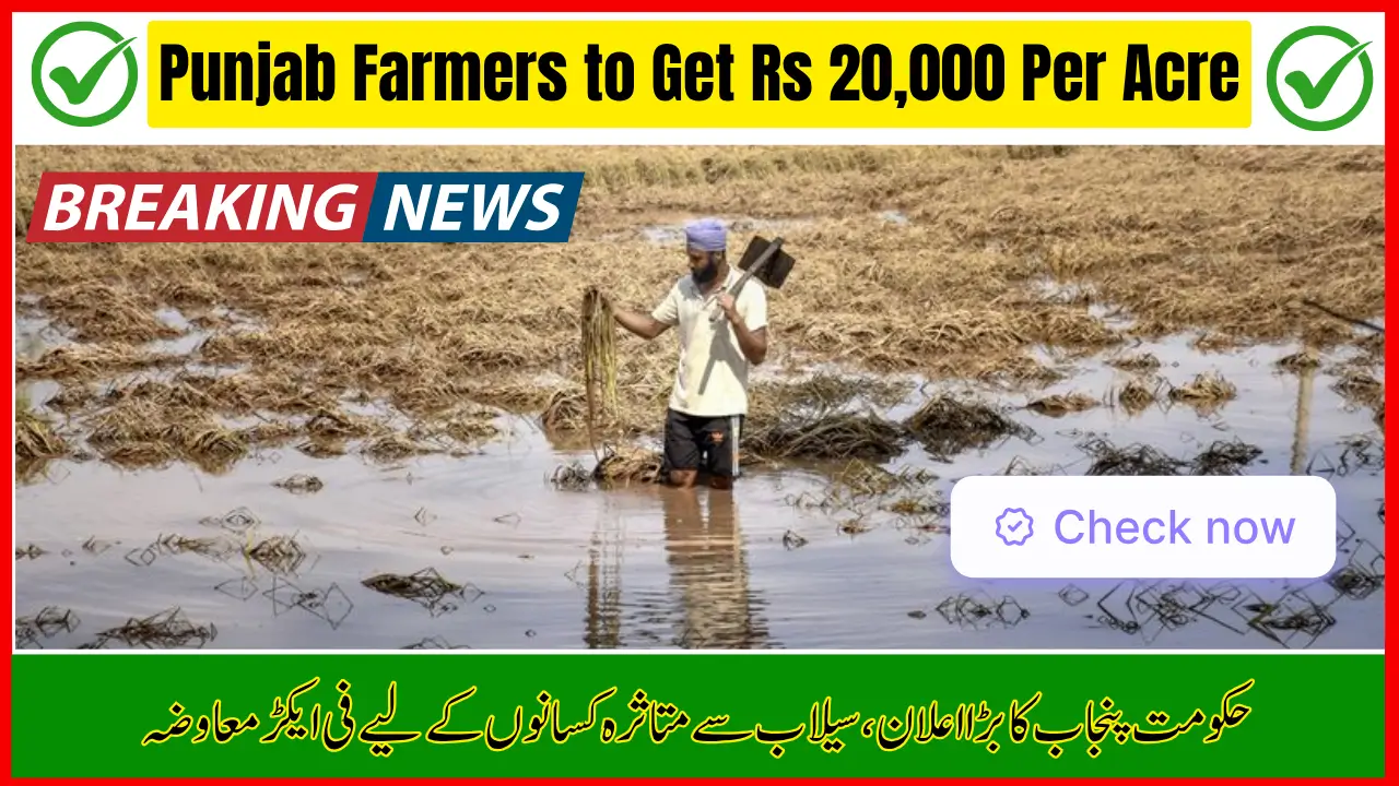 Punjab Farmers to Get Rs 20,000 per Acre Compensation After Flood Damages