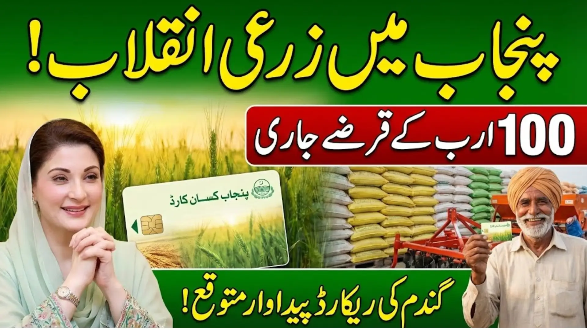 Punjab Kisan Card Brings Agricultural Revolution as Wheat Production Reaches New Heights