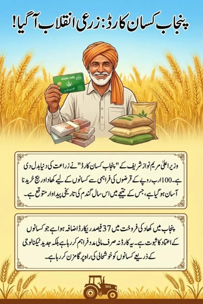 Punjab Kisan Card Brings Agricultural Revolution as Wheat Production Reaches New Heights